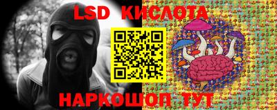 прущий лед Будённовск